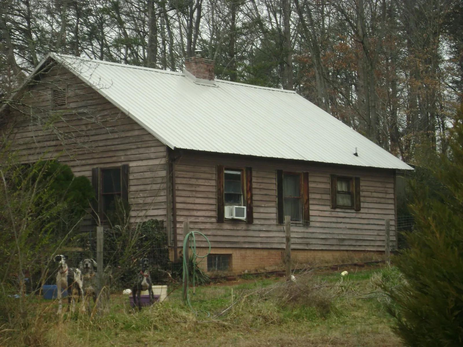 White metal roof on an old wood sided farmhouse, from a Asphalt Shingle Roof Repair job in Elkton